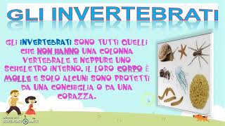 GLI ANIMALI VERTEBRATI E INVERTEBRATI [upl. by Oakman]