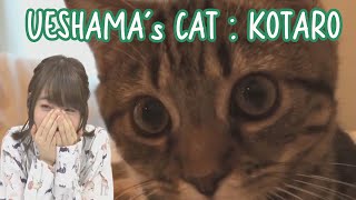 Ueda Reina getting Excited Over Her Cats Video [upl. by Tati]