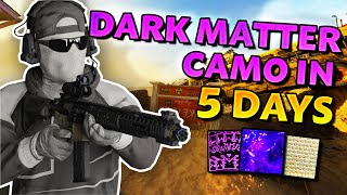 I unlocked the DARK MATTER CAMO on Black Ops 6 in 5 DAYS [upl. by Odnomyar]