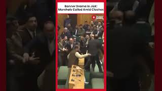 Marshals Intervene As Ruckus Erupts In JampK Assembly Over Article 370 Banner Display [upl. by Enialb]