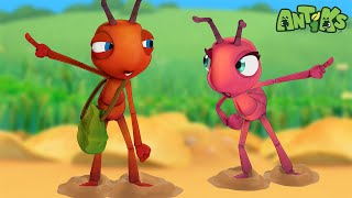 Stuck In The Muddle With You  🐛 Antiks amp Insectibles 🐜  Funny Cartoons for Kids  Moonbug [upl. by Phemia613]