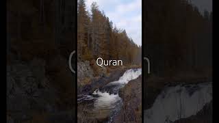 quran shorts reels viralvideo trending [upl. by Ynoyrb115]