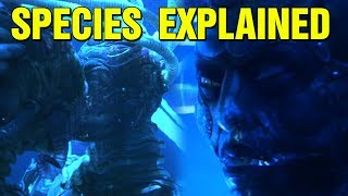 WHAT ARE THE ALIEN HUMAN HYBRIDS SPECIES MOVIE EXPLAINED [upl. by Nylrad453]