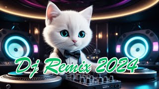 Dj Remix 2024 [upl. by Theobald531]