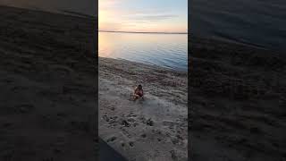 Beach day in November on Otter Tail Lake [upl. by Nelli]