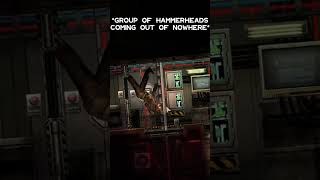 Group of Hammerheads barotrauma [upl. by Bentlee]