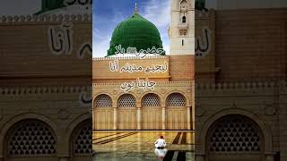 2 Lines on Ishq E Rasoolﷺ islamicnaatshorts madinashort madinaphotos ishqerasoolallahﷺ fyp [upl. by Olonam455]