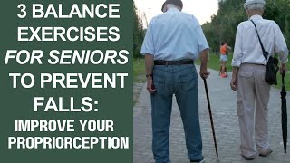 3 Balance exercises for seniors to prevent falls proprioceptive exercises [upl. by Anialeh]