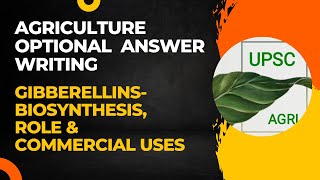 Gibberellins Biosynthesis Role amp Commercial Uses  Agriculture Optional Answer Writing  UPSC [upl. by Nonnelg]