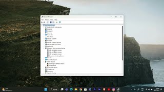 How To Fix Middle Mouse Button Not Working In Windows 11 2024 [upl. by Cathee633]