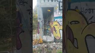 EXTREME URBEX OPUŠTĚNÁ LDN DŘÍVÉ PLICNÍ LÉČEBNA [upl. by Narrad142]