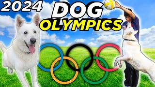 I Taught My Dog To Play Sports [upl. by Autum]