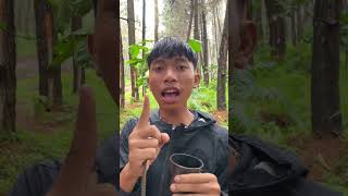 simple ideas you should know🔥 camping survival bushcraft outdoors [upl. by Ateekram]