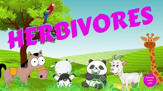 Herbivores  Types of Animals  Science for Kids [upl. by Anelet897]