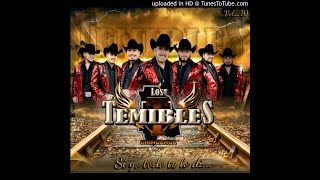 Los Temibles  Cumbia Patricia 2020 [upl. by Arrat620]