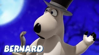 Bernard Bear  The Magician AND MORE  30 min Compilation  Cartoons for Children [upl. by Enreval]