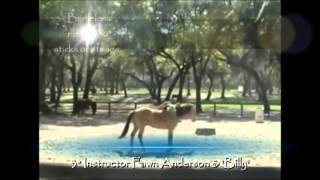 Classical Natural Vaquero  Fawn Anderson Horsemanship [upl. by Tomasine]