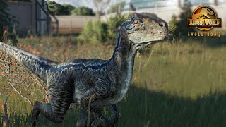 RAPTOR  Jurassic World Evolution 2 [upl. by Boice]