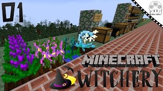 Tutorial Witchery  1 Primeiros Passos MINECRAFT MOD WITCHERY [upl. by Sidnac]