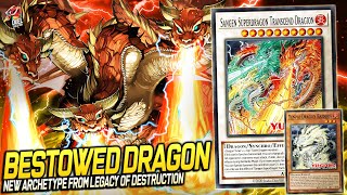 Deck Tenpai Dragon EDOPRO  Replays 🎮  Decklist ✔️ [upl. by Nadeau]