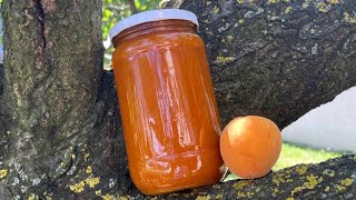 Homemade Apricot Jam Recipe [upl. by Seidler]