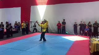 Campeonato Brasileiro de Kung Fu  Espada Shaolin  Sênior  feminino  Claudia Kanashiro [upl. by Ranitta]