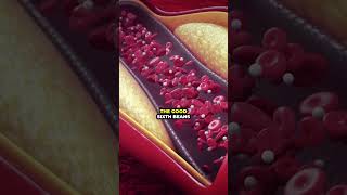 Top 8 Foods that Boost Good Cholesterol Naturally youtubeshorts cholesterol food hearthealth [upl. by Laemsi]