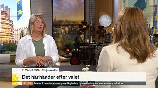 EUexperten Därför ska man rösta i EUvalet  Nyhetsmorgon  TV4 amp TV4 Play [upl. by Engedi]