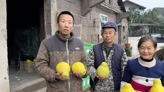 第一次帶貨水果，我朋友家種的長壽沙田柚，也算是一個新的開始吧 [upl. by Nnyltak]