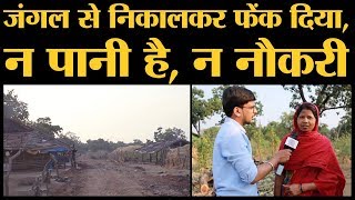 Satpura Tiger Reserve से डेढ़ साल पहले निकाले गए न ज़मीन मिली न Job card  Hoshangabad MP Lallantop [upl. by Cima]