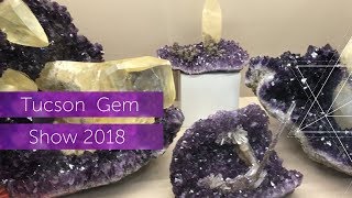 Tucson 🌵 Gem Show Vlog 📹 2018 [upl. by Draude918]