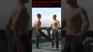 Exercice pour laine 3972 art shaolin [upl. by Revkah]