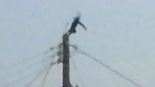 Cat gets ELECTROCUTED BACKFLIP [upl. by Onafets]