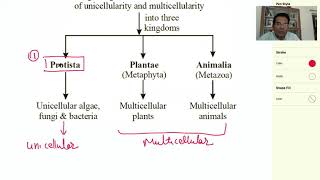 KINGDOM SYSTEM CLASSIFICATION [upl. by Kessler]