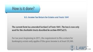 U S Income Tax Return for Estates and Trusts 1041 [upl. by Landmeier776]