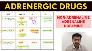 Autonomic Pharmacology  15  NorAdrenaline  Adrenaline amp Dopamine  EOMS [upl. by Elokcin]