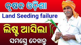 Krushak odisha Land Seeding failure list 2025cm kisan applypm Kisan online applytechnicalgulsan [upl. by Gitel670]