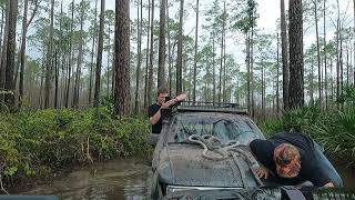 Stuck Stuck in Osceola Forest [upl. by Tyrone290]