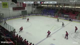 Alberni Valley Bulldogs 4 Cowichan Valley Capitals 3 [upl. by Rior701]