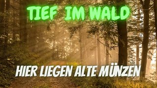 schatzsuche tief im Wald bringt alte Münzen hervor sondeln [upl. by Mercier771]