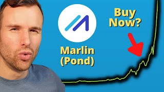 Why Marlin is up 🤩 Pond Crypto Token Analysis [upl. by Codding441]