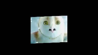 The Legend of the Guardians Owls of Ga’hoole  edit by randomeditoralert [upl. by Tace742]