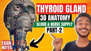 blood supply of thyroid gland anatomy  nerve supply of thyroid gland  thyroid gland relations [upl. by Hcra31]