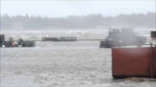 STORM Surge Richibucto Wharf NB Canada [upl. by Milman]