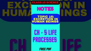 Excretion in Human Beings Notes with diagramClass 10 ScienceBiologyCh 5 Life processesshorts [upl. by Lowney]