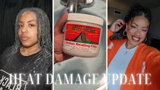 bentonite clay on my heat damaged natural hair  hair journey update [upl. by Sirraf]