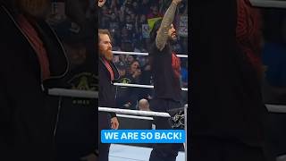 Sami Zayn is back in the bloodline ☝🏻🫶🏻 wwe bloodline romanreigns samyzayn [upl. by Chabot]