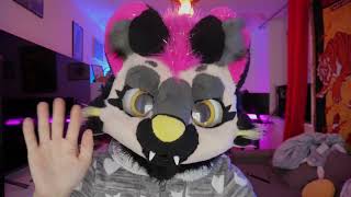 ASMR FURRY  Test du nouvel enregistreur [upl. by Nekcarb456]