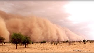 Protecting People from Sand and Dust Storms [upl. by Urion267]