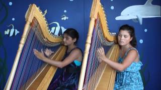 Luz Marina Harp Duo  Pájaro Campana [upl. by Nisior]